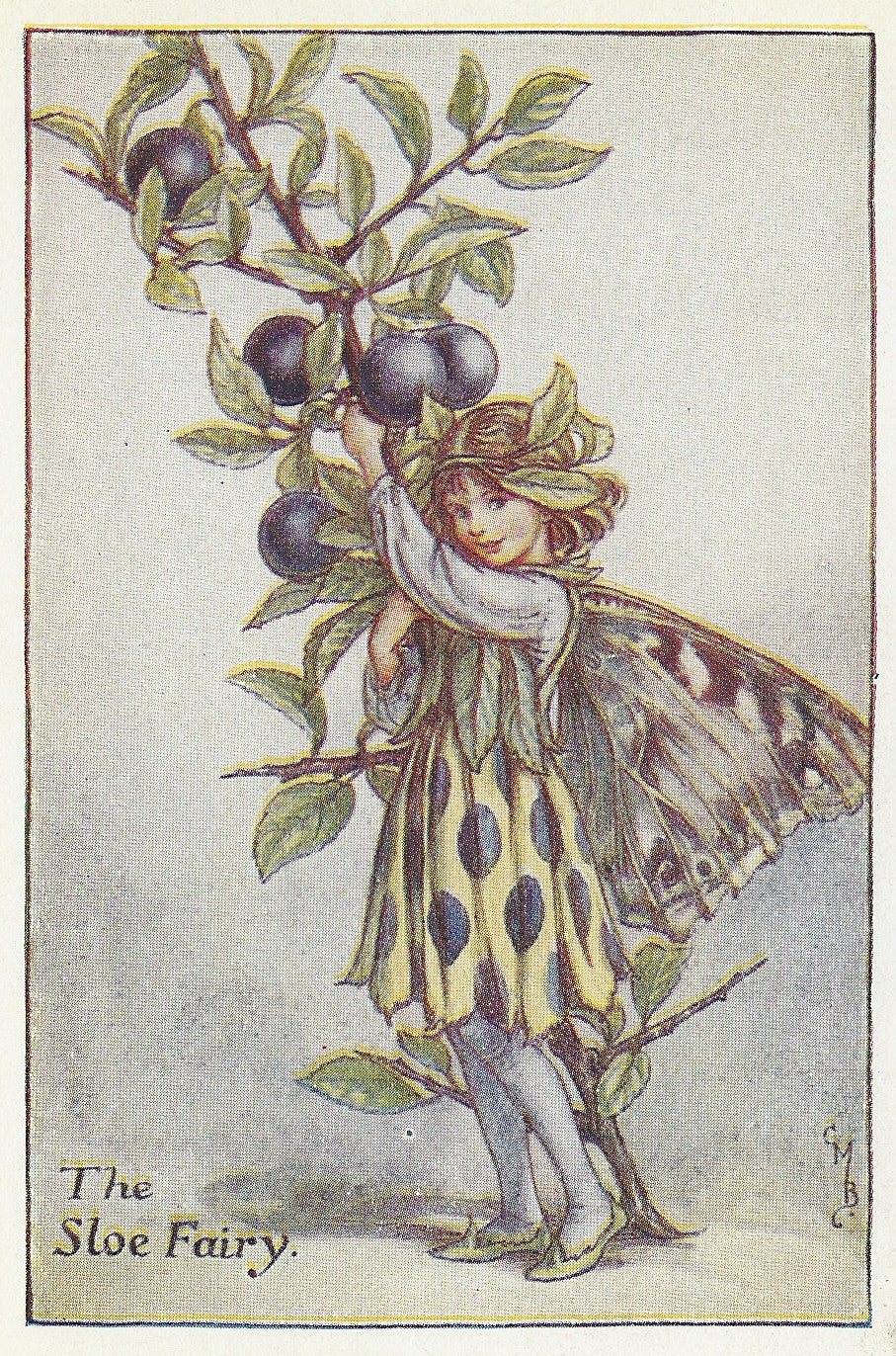 Sloe Flower Fairy original vintage print