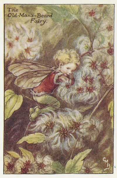 Flower Old-Man's-Beard Fairy