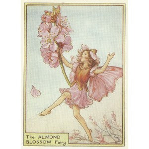 Almond Blossom Flower Fairy vintage print