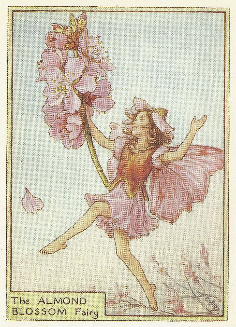 Almond Blossom Flower Fairy vintage print