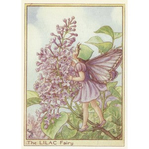 Lilac Flower Fairy vintage print