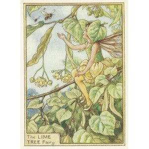 Lime Tree Flower Fairy guaranteed vintage print