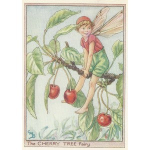 Cherry Tree Flower Fairy vintage print