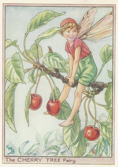 Cherry Tree Flower Fairy vintage print
