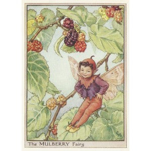 Mulberry Tree Flower Fairy vintage print