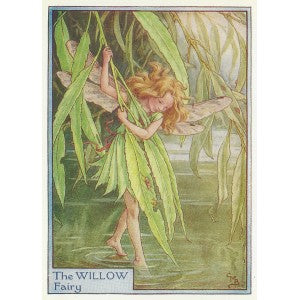 Willow Tree Flower Fairy vintage print
