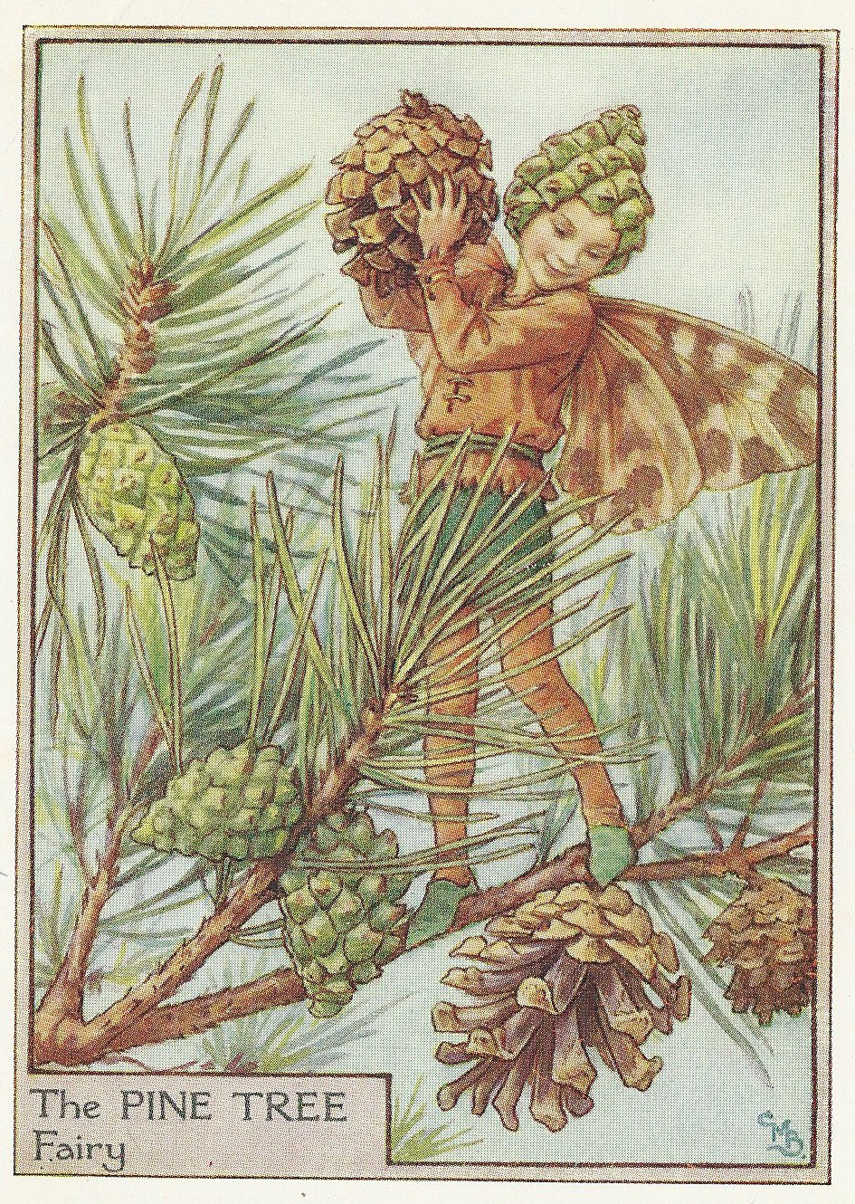 Pine Tree Flower Fairy original vintage print 1950