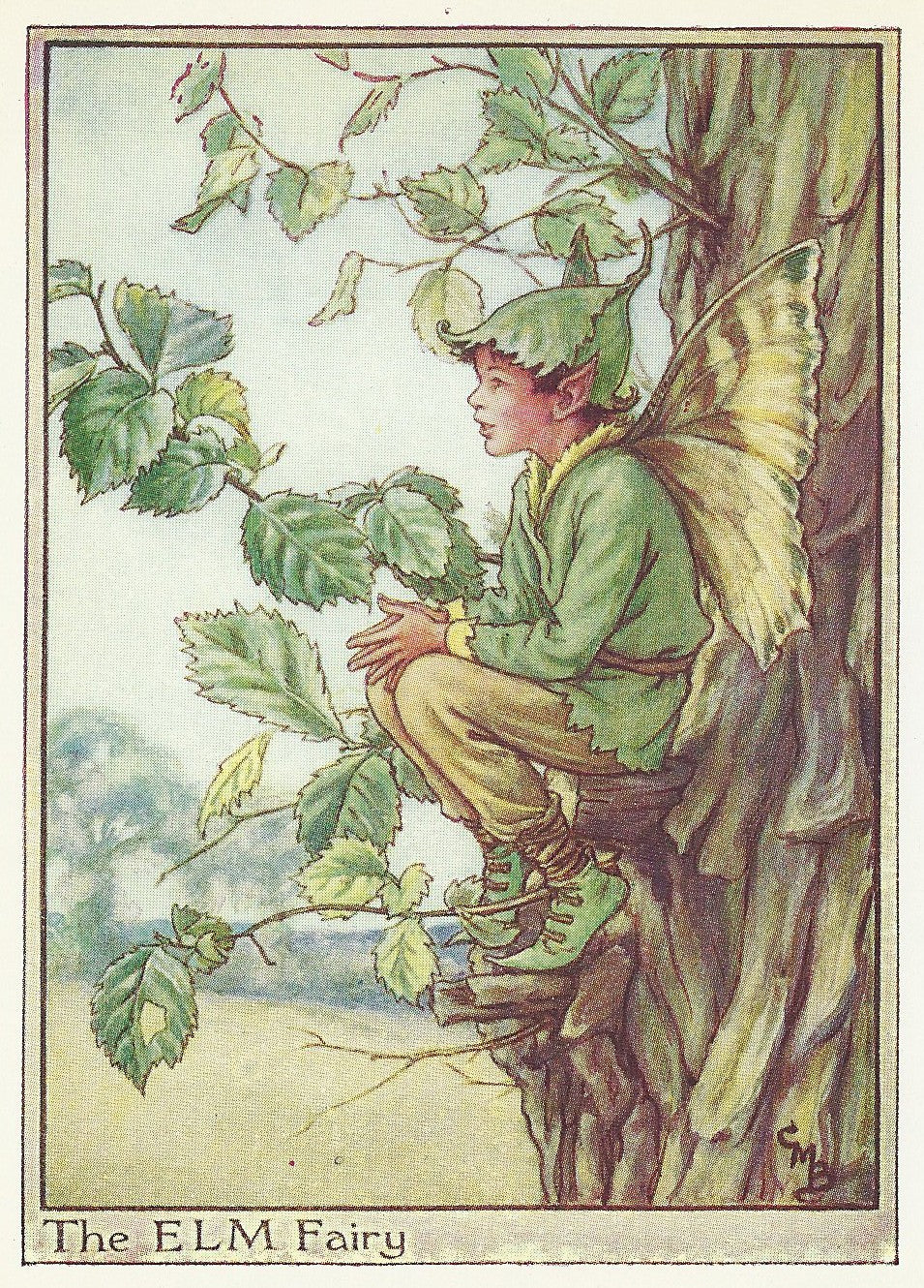 Elm Tree Flower Fairy vintage print