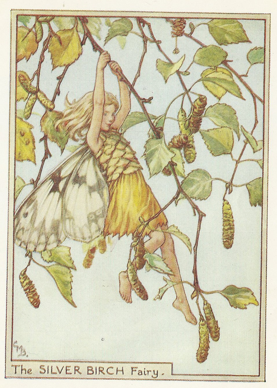 Silver Birch Flower Fairy vintage print