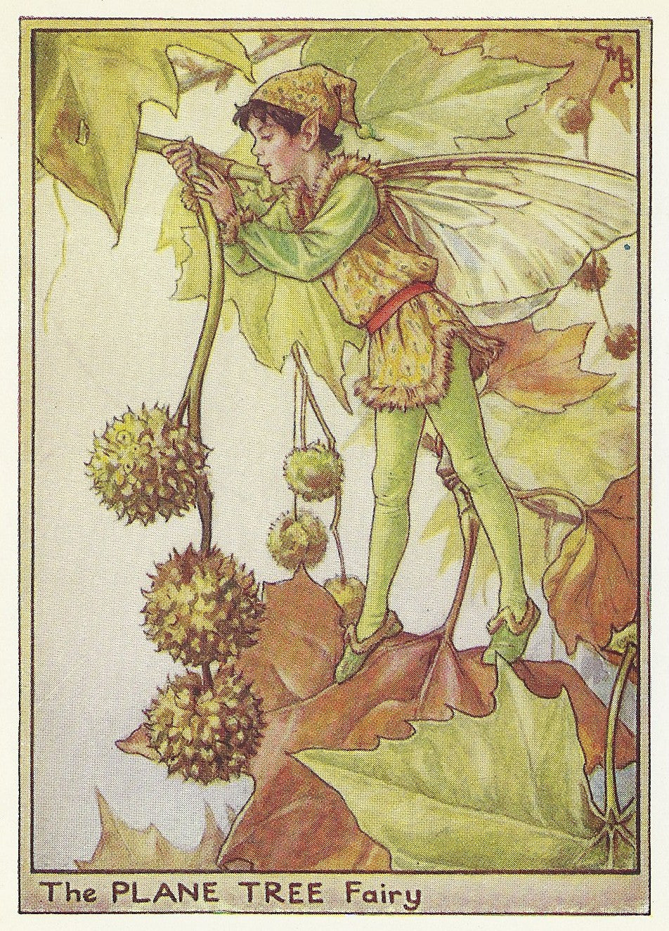 Plane Tree Flower Fairy vintage print