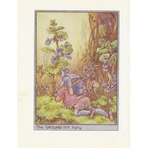 Ground Ivy Flower Fairy vintage print