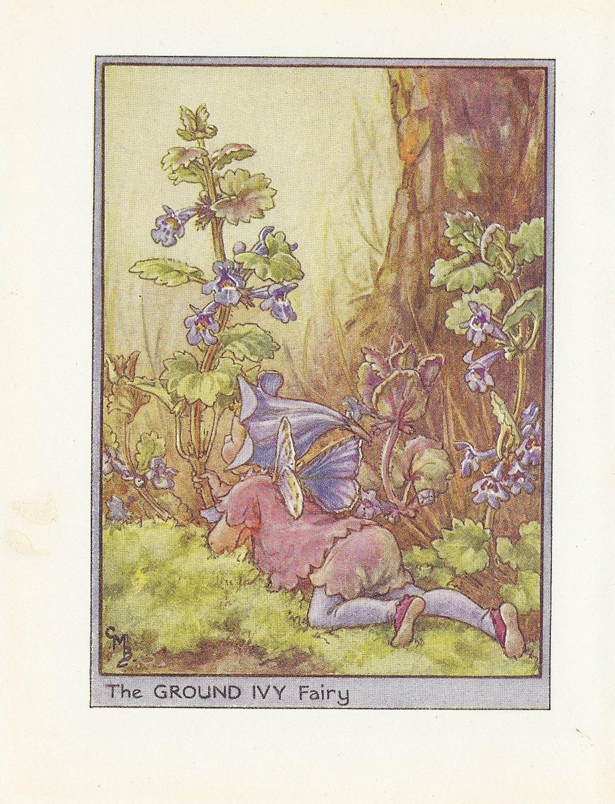 Ground Ivy Flower Fairy vintage print 1948