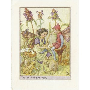 Self-heal Flower Fairy original vintage print
