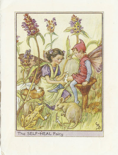 Self-heal Flower Fairy original vintage print