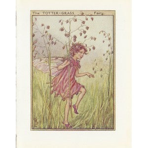 Totter-grass Flower Fairy guaranteed original vintage print