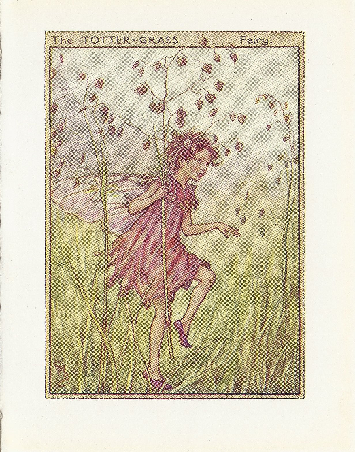 Totter-grass Flower Fairy guaranteed original vintage print
