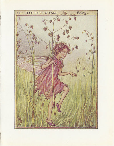 Totter-grass Flower Fairy vintage print