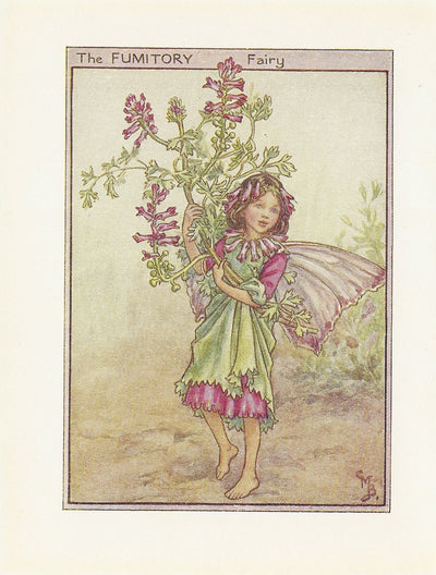 Fumitory Flower Fairy original vintage print