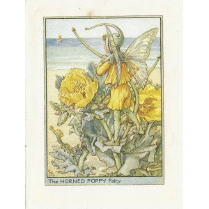 Horned Poppy Flower Fairy of the Wayside vintage print