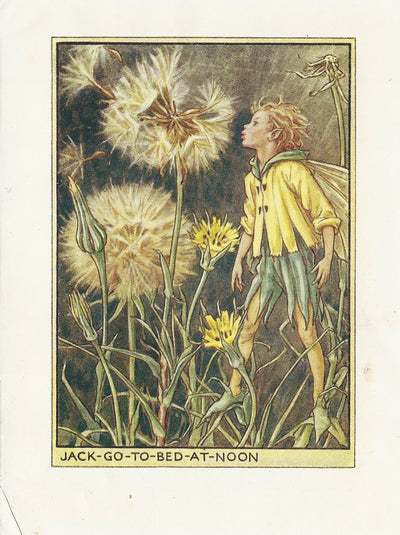 Jack-go-to-Bed-at-Noon guaranteed Flower Fairy vintage print